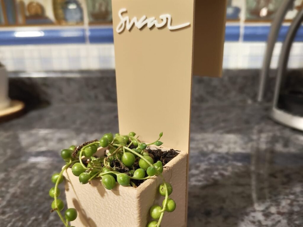 Maceta color crema con un nombre en relieve y una planta rosario, colgada del borde de una encimera.