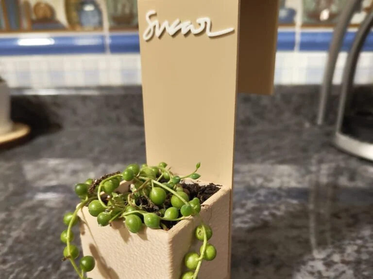 Maceta color crema con un nombre en relieve y una planta rosario, colgada del borde de una encimera.