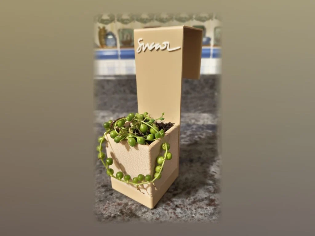 Maceta color crema con un nombre en relieve y una planta rosario, colgada del borde de una encimera.